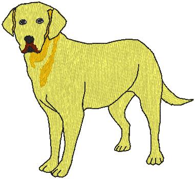 Copy_of_GOLDEN_LABRADOR_RH_pes