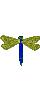 Dragonfly2_small_pes