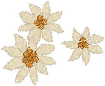 FL00029_psf