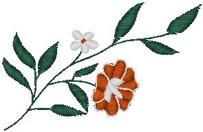 FL00039_psf
