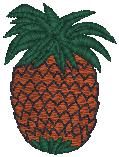 FL00107_psf