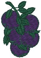 FL00167_psf