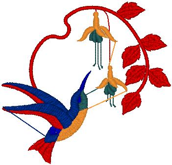 HammingBird_dst