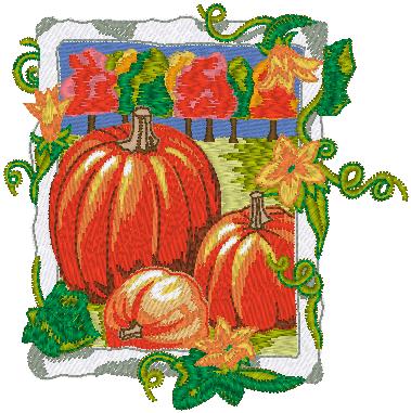 Pumpkin_Patch_PXF