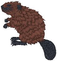 beaver_pxf