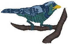 bluejay_pxf