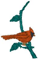 cardinal_pxf