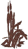 cattail_pxf