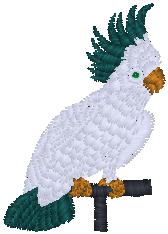 cockatoo_pxf