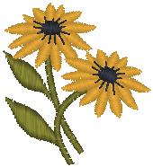 daisy_pxf_001