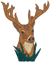 deerhead_pxf