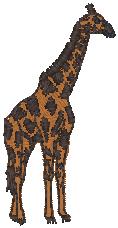 giraffe_pxf