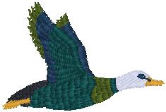goose_pxf