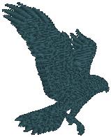 hawk_pxf