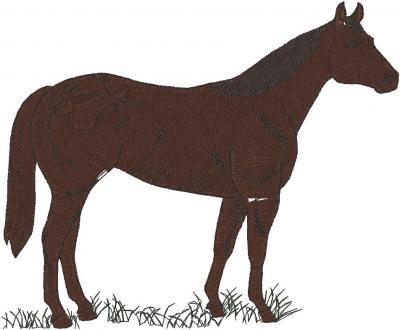 horse_pxf