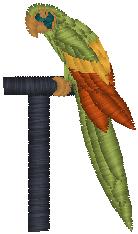 parrot_pxf