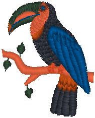 toucan_pxf