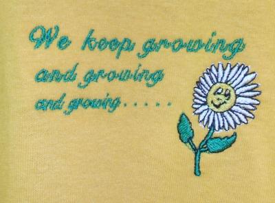embroidery4